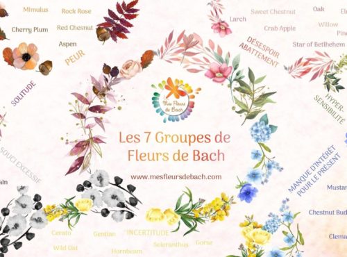 fleurs de Bach animaux